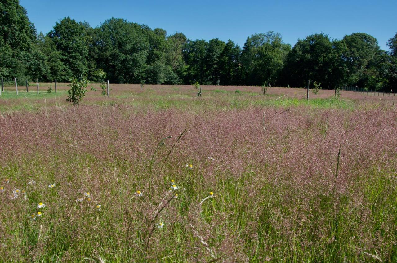 Gite Le Champ Libre Dompierre-Sur-Yon エクステリア 写真