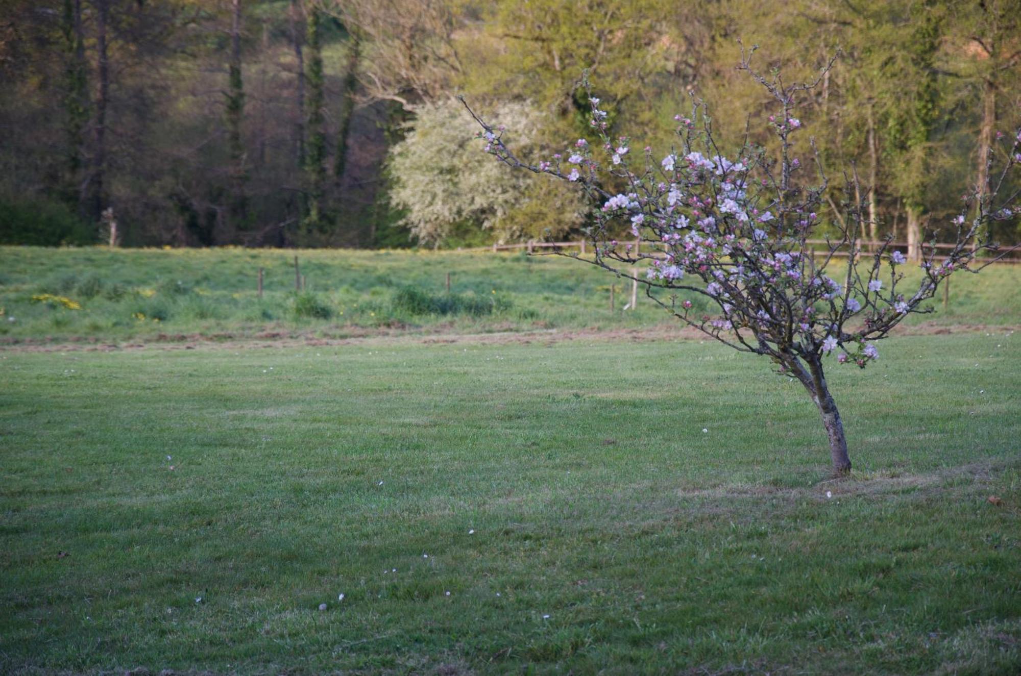 Gite Le Champ Libre Dompierre-Sur-Yon エクステリア 写真